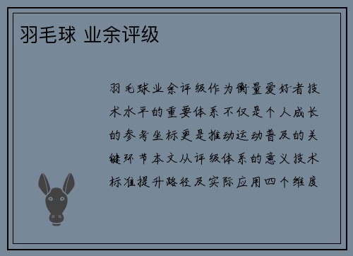 羽毛球 业余评级